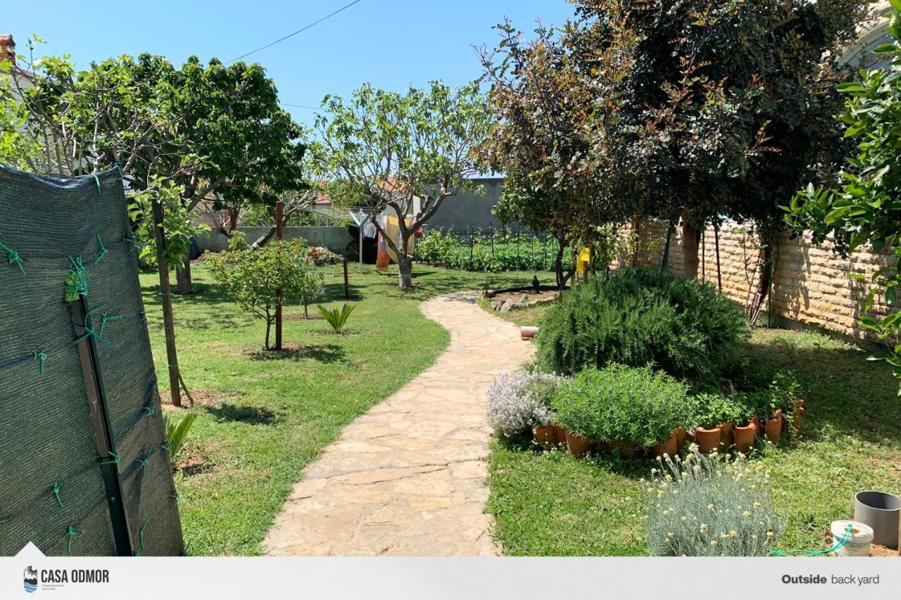Casa Odmor Apartman Vrsi Kültér fotó