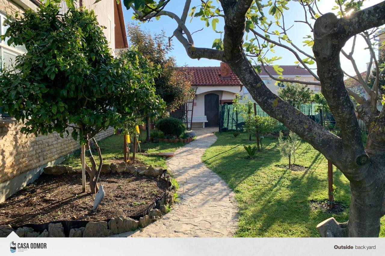 Casa Odmor Apartman Vrsi Kültér fotó